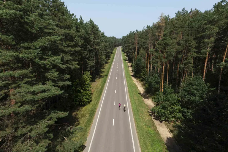 Rodzaje dróg w Polsce - co trzeba wiedzieć?