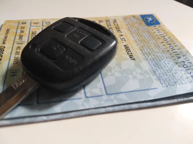 Oznaczenia w dowodzie rejestracyjnym - o czym informują?